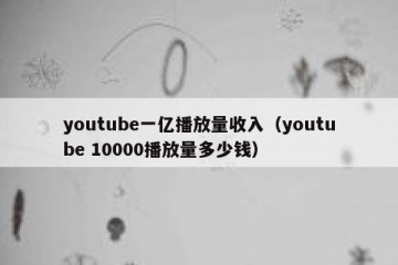 youtube一亿播放量收入（youtube 10000播放量多少钱）