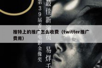 推特上的推广怎么收费（twitter推广费用）