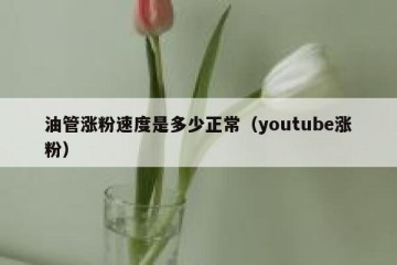 油管涨粉速度是多少正常（youtube涨粉）