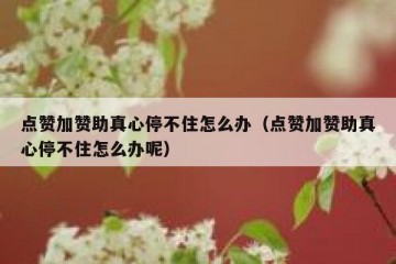 点赞加赞助真心停不住怎么办（点赞加赞助真心停不住怎么办呢）