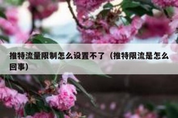 推特流量限制怎么设置不了（推特限流是怎么回事）