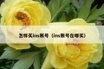 怎样买ins账号（ins账号在哪买）