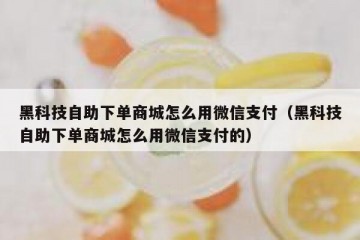 黑科技自助下单商城怎么用微信支付（黑科技自助下单商城怎么用微信支付的）