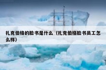 扎克伯格的脸书是什么（扎克伯格脸书员工怎么样）