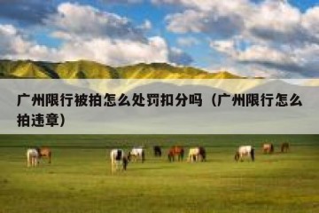 广州限行被拍怎么处罚扣分吗（广州限行怎么拍违章）