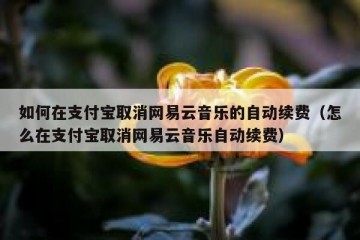 如何在支付宝取消网易云音乐的自动续费（怎么在支付宝取消网易云音乐自动续费）