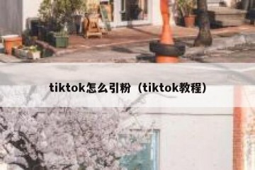 tiktok怎么引粉（tiktok教程）