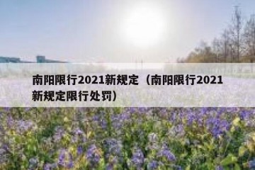 南阳限行2021新规定（南阳限行2021新规定限行处罚）