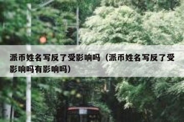 派币姓名写反了受影响吗（派币姓名写反了受影响吗有影响吗）