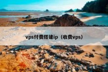 vps付费搭建ip（收费vps）