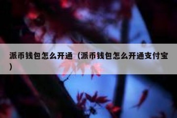 派币钱包怎么开通（派币钱包怎么开通支付宝）