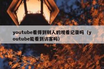 youtube看得到别人的观看记录吗（youtube能看到访客吗）