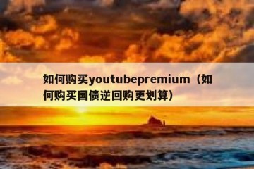 如何购买youtubepremium（如何购买国债逆回购更划算）