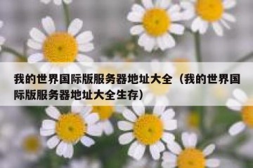 我的世界国际版服务器地址大全（我的世界国际版服务器地址大全生存）
