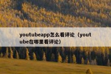 youtubeapp怎么看评论（youtube在哪里看评论）