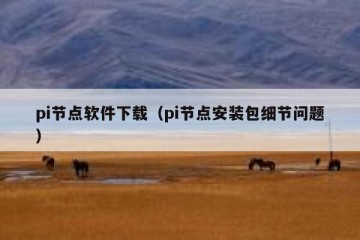 pi节点软件下载（pi节点安装包细节问题）