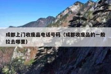 成都上门收废品电话号码（成都收废品的一般拉去哪里）