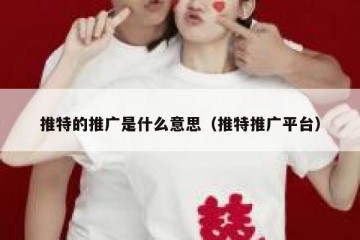 推特的推广是什么意思（推特推广平台）