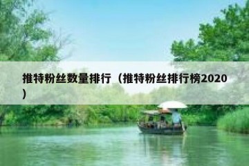 推特粉丝数量排行（推特粉丝排行榜2020）
