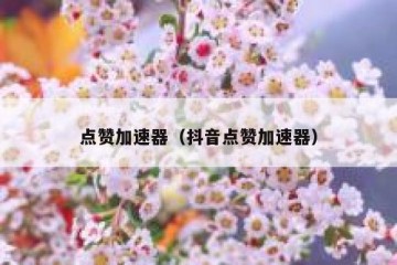 点赞加速器（抖音点赞加速器）