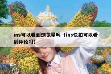 ins可以看到浏览量吗（ins快拍可以看到评论吗）