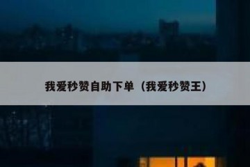 我爱秒赞自助下单（我爱秒赞王）