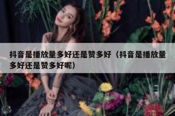 抖音是播放量多好还是赞多好（抖音是播放量多好还是赞多好呢）