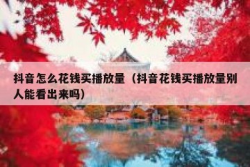抖音怎么花钱买播放量（抖音花钱买播放量别人能看出来吗）
