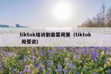 tiktok培训割韭菜周茉（tiktok 周受资）