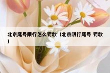 北京尾号限行怎么罚款（北京限行尾号 罚款）