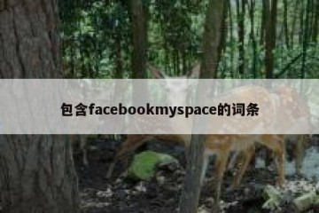 包含facebookmyspace的词条