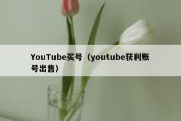 YouTube买号（youtube获利账号出售）