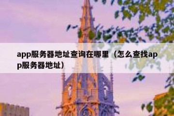 app服务器地址查询在哪里（怎么查找app服务器地址）