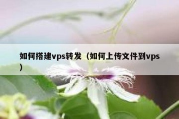 如何搭建vps转发（如何上传文件到vps）