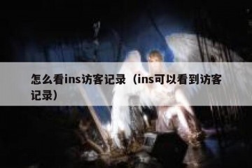 怎么看ins访客记录（ins可以看到访客记录）