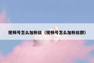 视频号怎么加粉丝（视频号怎么加粉丝群）