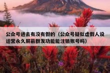 公众号进去有没有假的（公众号疑似虚假人设运营永久屏蔽群发功能能注销账号吗）