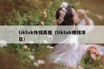 tiktok挣钱真相（tiktok赚钱项目）