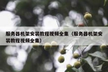 服务器机架安装教程视频全集（服务器机架安装教程视频全集）