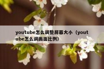 youtube怎么调整屏幕大小（youtube怎么调画面比例）