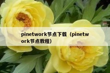 pinetwork节点下载（pinetwork节点教程）