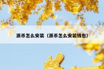派币怎么安装（派币怎么安装钱包）
