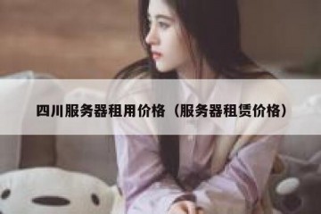 四川服务器租用价格（服务器租赁价格）