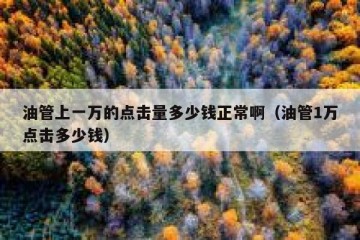 油管上一万的点击量多少钱正常啊（油管1万点击多少钱）