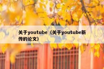 关于youtube（关于youtube新传的论文）
