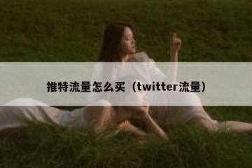 推特流量怎么买（twitter流量）