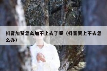 抖音加赞怎么加不上去了呢（抖音赞上不去怎么办）