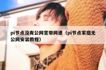 pi节点没有公网宽带网速（pi节点家庭无公网安装教程）