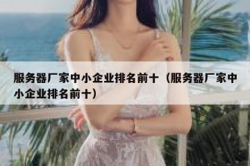 服务器厂家中小企业排名前十（服务器厂家中小企业排名前十）