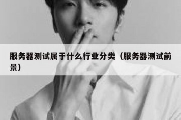 服务器测试属于什么行业分类（服务器测试前景）